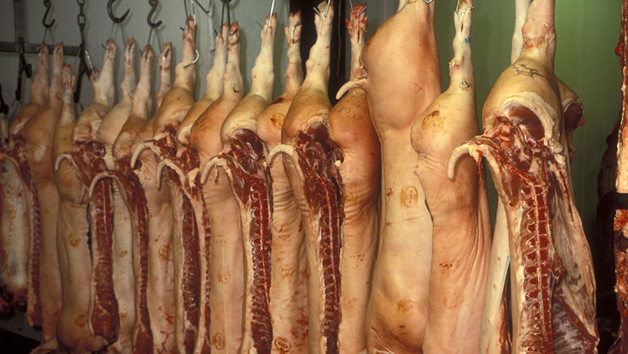 pork production in south africa
