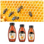 Starting Honey Beekeeping Business in South Africa – Business Plan (PDF, Word & Excel)