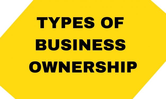 Types of Business Ownership In South Africa