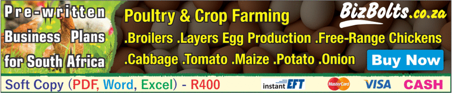 Starting Maize Farming Business in South Africa - Business Plan (PDF, Word  & Excel) - BizBolts
