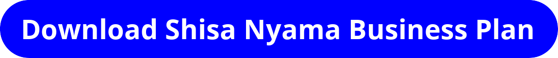 Shisa Nyama Business Plan