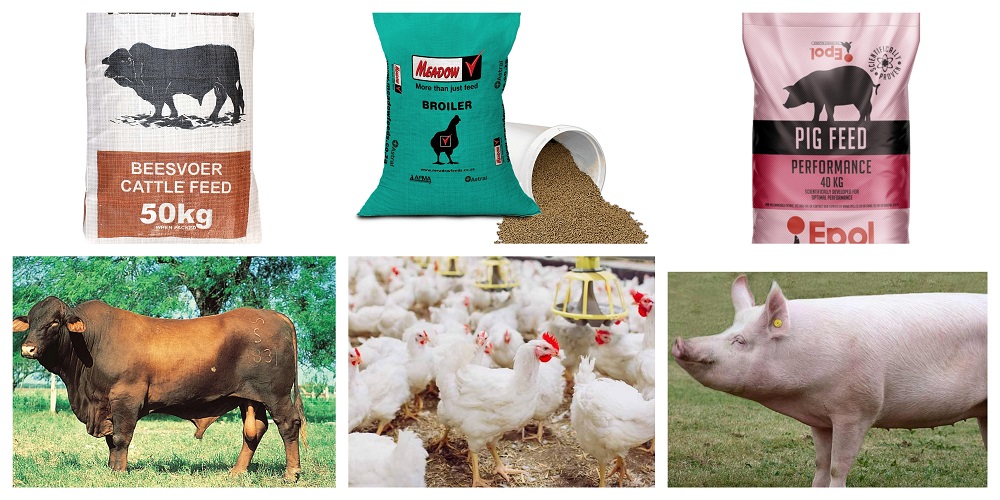 Starting an Animal Feed Manufacturing Business in South Africa – Business Plan (PDF, Word & Excel)